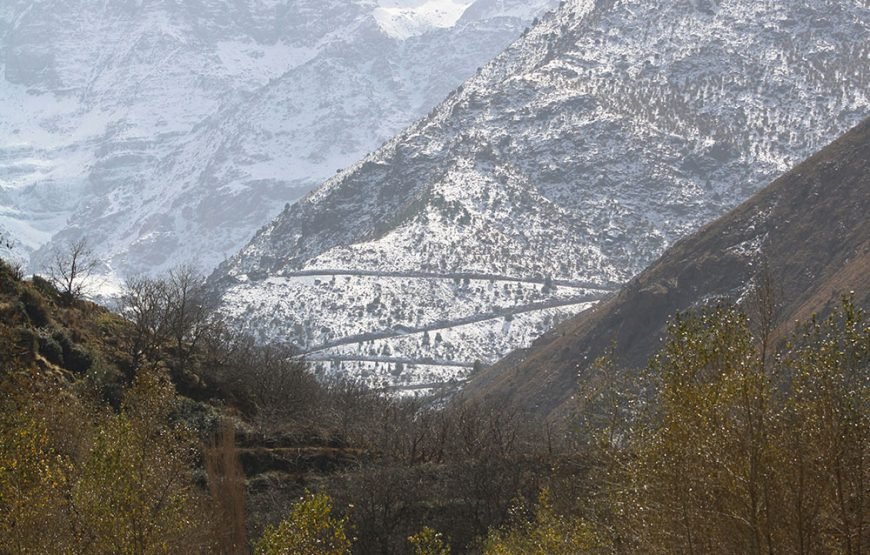 Imlil & High Atlas Mule Ride Tour