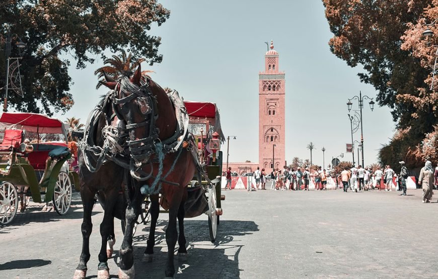 Marrakech Horse-Drawn Carriage & Gardens Tour