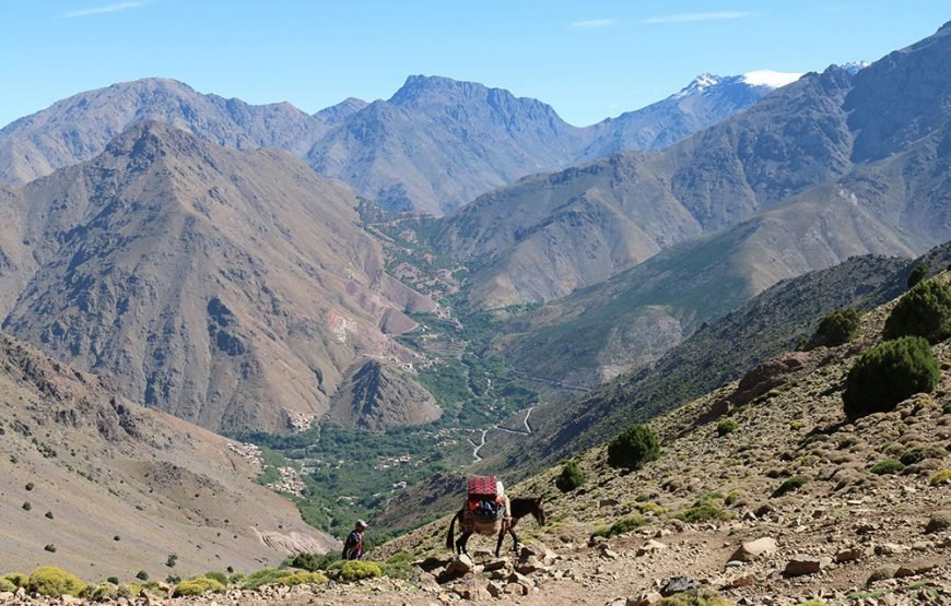Imlil & High Atlas Mule Ride Tour