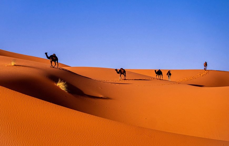 Marrakech – Merzouga Desert Tour (3 Days / 2 Nights)