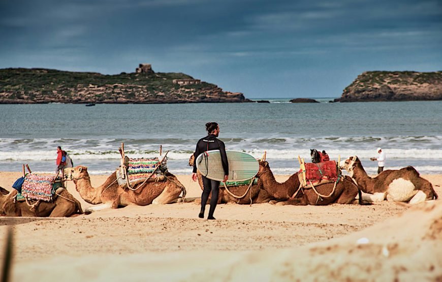 Essaouira Day Trip from Marrakech