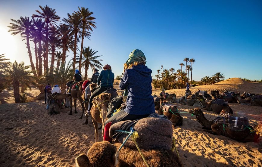 Marrakech – Zagora Desert Tour (2 Days / 1 Night)