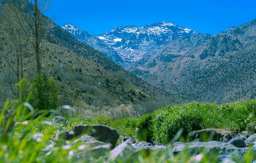 Imlil & High Atlas Mule Ride Tour