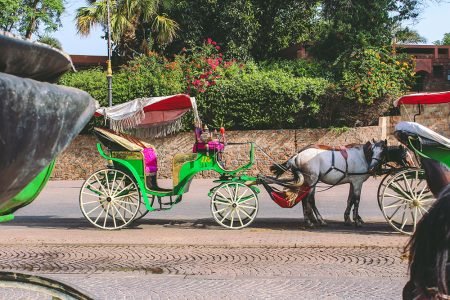 jamma-el-fna-Horse-carriage-tour-in-Marrakech
