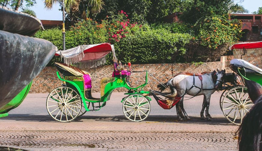 jamma-el-fna-Horse-carriage-tour-in-Marrakech