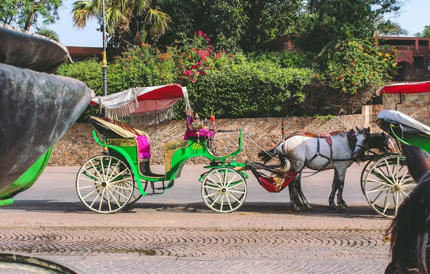 Marrakech Horse-Drawn Carriage & Gardens Tour
