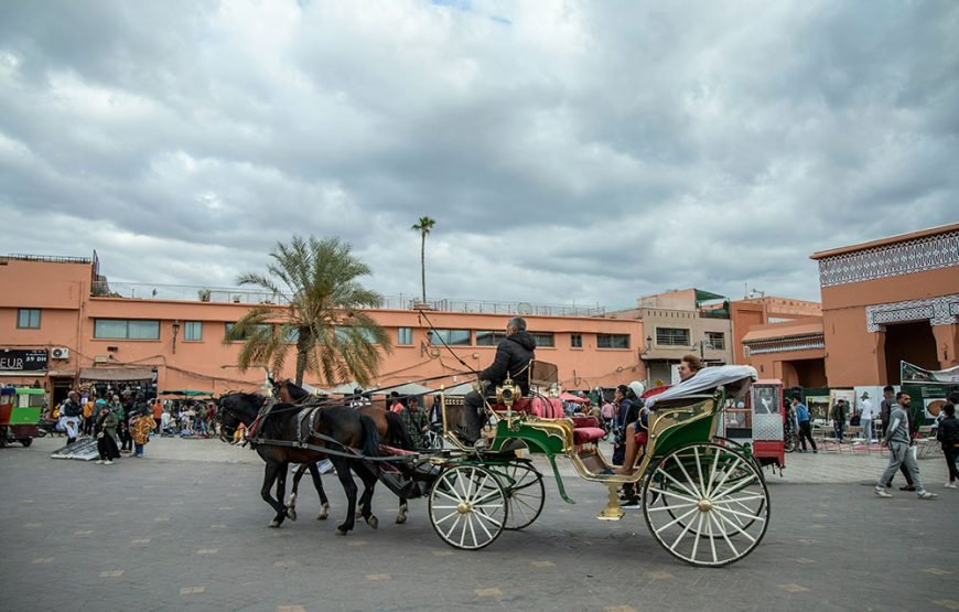 Marrakech Horse-Drawn Carriage & Gardens Tour