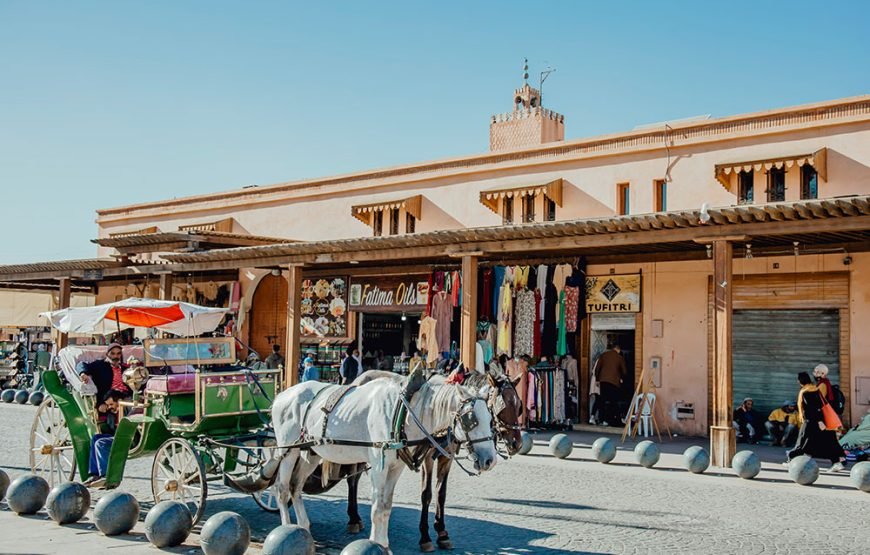 Marrakech Horse-Drawn Carriage & Gardens Tour
