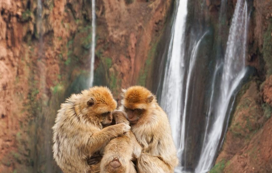 Ouzoud Waterfalls – Province of Azilal