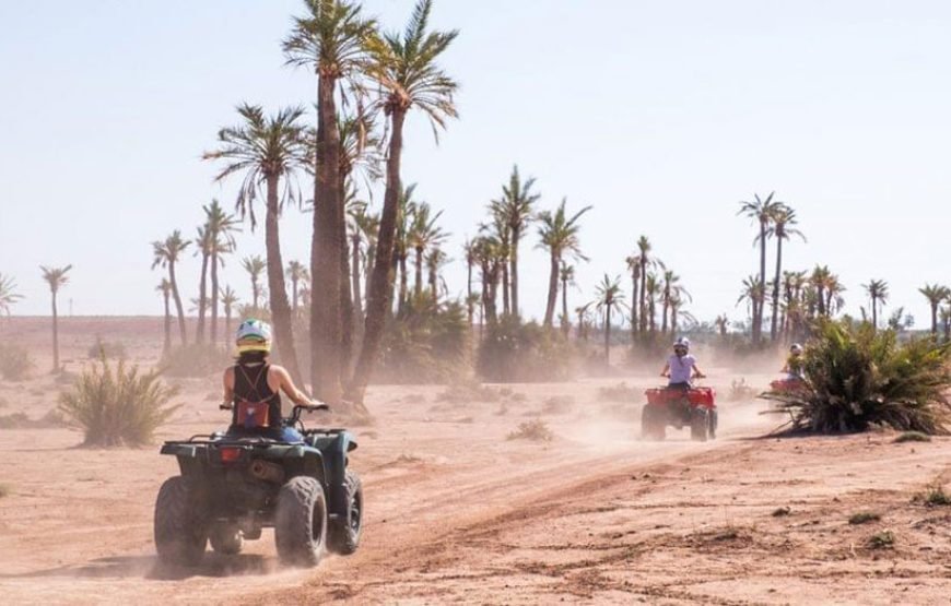 Palmeraie Adventure: Horse, Camel, Quad & Buggy Rides