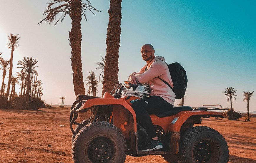 Palmeraie Adventure: Horse, Camel, Quad & Buggy Rides